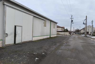 Spațiu comercial, de 250 mp, în Dumbrăvița