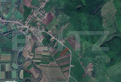 Teren de 13000 mp, în Șintereag - 1