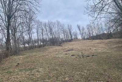 Teren de 3169 mp, în Talea - 1