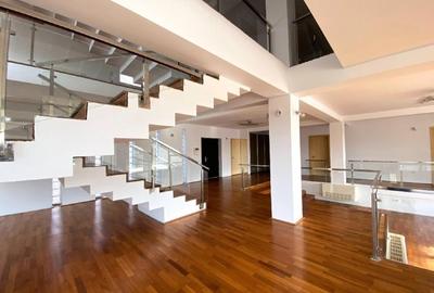 Casă individuală cu 7 camere cu Teren 3000 Mp în Micălaca - 15