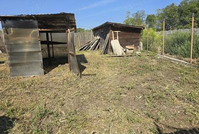 Casă cu 5 camere în Giubega - 9