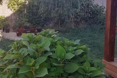 Casă cu 3 camere în Oșorhei - 3