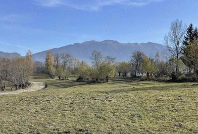 Teren intravilan zona Bran-Tohanita, judetul Brasov intre 500 si 1000 mp la 5 km de Moieciu - 2