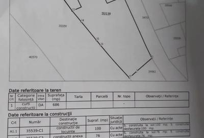 Casă cu 3 camere în Mehadia - 2