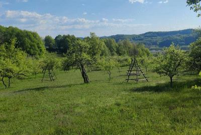 Teren de 2920 mp, în Șuici - 6