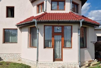 Casa de vanzare, Sanmartin la intrarea in localitate - 1