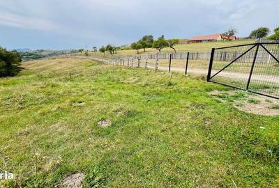 Spațiu comercial, în Central - 2