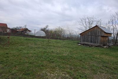 Spațiu comercial, în Uioara de Sus - 3