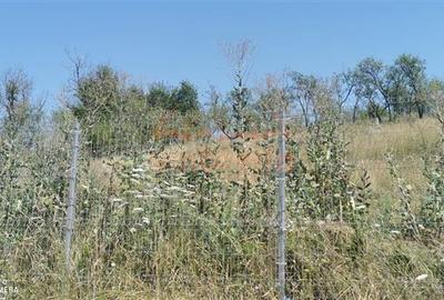 De vanzare casa si grajd +3000/? teren livada in Sumurducu - Sanpaul - 10