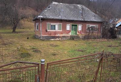 Casă cu 3 camere în Rohia - 2