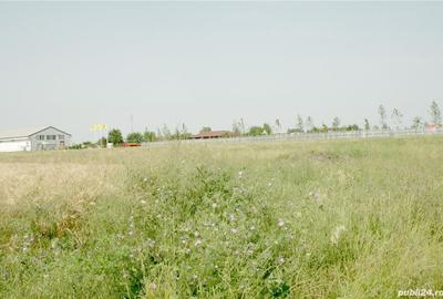 Teren de 8000 mp, în Otopeni - 3