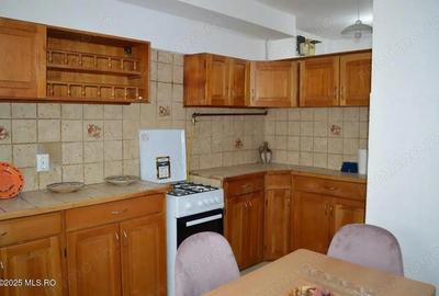 Centru - Prefectura, apartament 2 camere, 46 mp, de inchiriat - 11