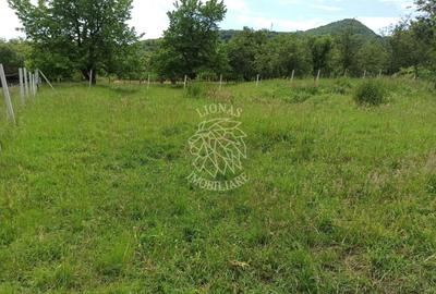 Teren agricol extravilan de 1000 mp, în Nord - 1