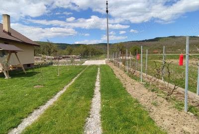 Casă cu 4 camere cu Teren 2000 Mp în Predești - 2