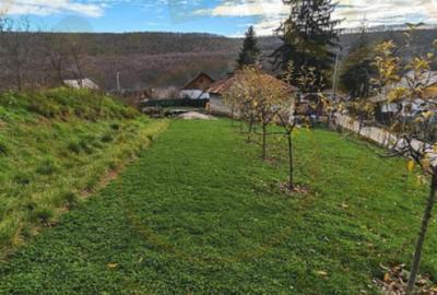 Teren de 1665 mp, în Făgetu - 1