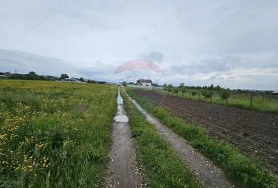 Teren de 1495 mp, în Dobreni - 2