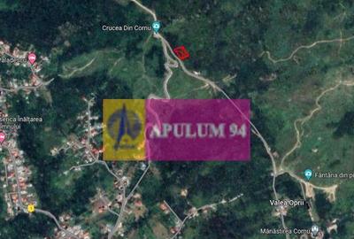 Teren intravilan de vanzare in Cornu de Jos - 13