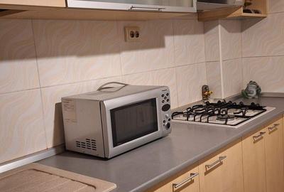 Apartament cu 2 camere semidecomandat, mobilat în Tineretului - 1
