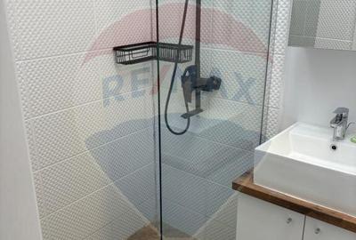 Apartament 2 camere Gara de nord Apartament 2 camere Gara de nord - 8