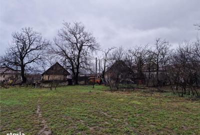 Casă cu 4 camere cu Teren 4600 Mp în Gepiu - 3