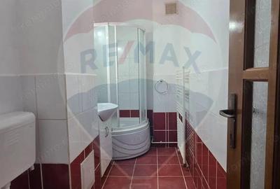 Apartament cu 2 camere decomandat în Vitrometan - 14