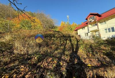 Teren intravilan 1543 mp - zona Darmanesti Teren intravilan 1543 mp - zona Darmanesti - 4