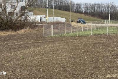 Teren de 903 mp, în Aroneanu - 2