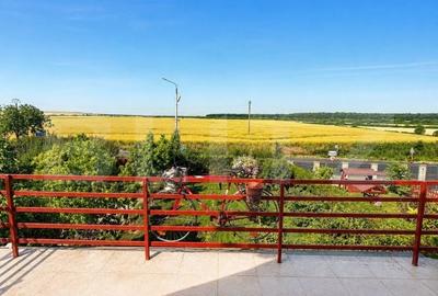 Casă cu 6 camere cu Teren 1491 Mp în Pișchia - 18