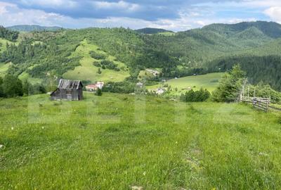 Teren de vanzare, 2 ha - Campulung Moldovenesc, zona Sandru - 5