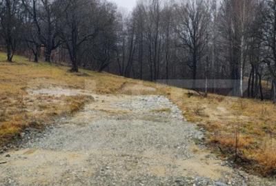 Oportunitate investitie teren intravilan Zarnesti Oportunitate investitie teren intravilan Zarnesti - 4