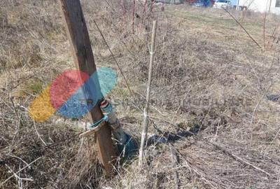 Teren intravilan 500mp - 4