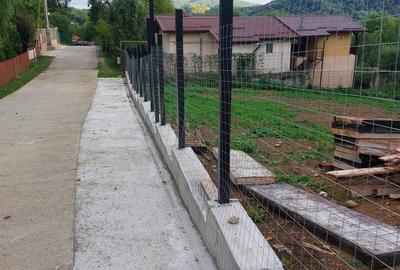 Teren de 1194 mp, în Provița de Jos - 3