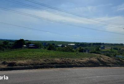 Teren de 1500 mp, în Răchiți