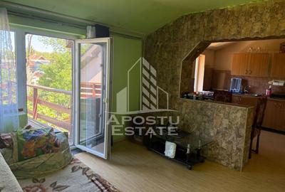 Casă individuală cu 7 camere cu Canalizare în Buziașului - 3