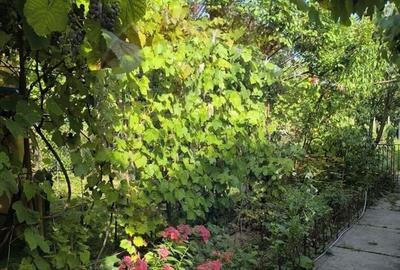 Casă individuală cu 3 camere cu Garaj în Ultracentral - 34