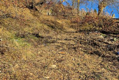 Teren de vânzare în sat Măgura/ Brasov– loc pentru familie, liniște și suflet - 23