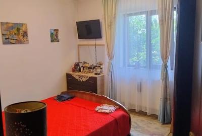 Vand casa parter Domnesti - 5