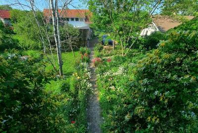 Vanzare vila 6 camere 264mp + garaj + garsoniera separata + 1490mp Centru Snagov Ilfov Nufarului 50A Vanzare vila 6 camere 264mp + garaj + garsoniera separata + 1490mp Centru Snagov Ilfov Nufarului 50A - 6