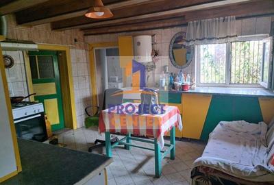 Casa Piscani, stradal, la DN, teren 8000 mp - 3