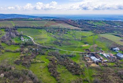 Teren Construcții intravilan de 33500 mp, în Valea Orlei - 13