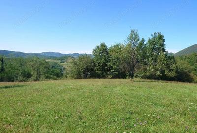 Teren de 8757 mp, în Luncoiu de Sus - 12