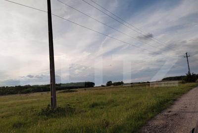 Teren de 1000 mp, în Central