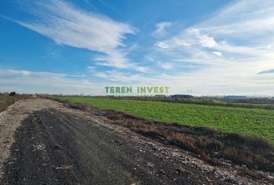 Loturi rezidentiale cu utilitati DN4, langa Popesti-Leordeni! - 9