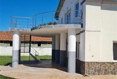 Hala multifunctionala de vanzare, Prejmer, Brasov - 9