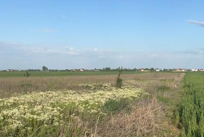 Spațiu comercial, în Bălăceanca - 2