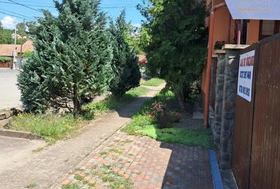 Vand casa in Brancovenesti