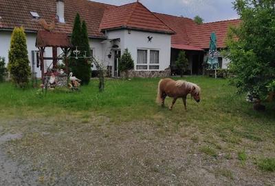 Spațiu comercial, de 200 mp, în Central - 1