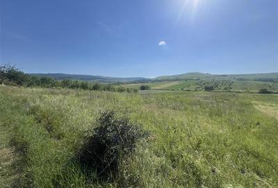 Teren intravilan de 6148 mp, în Sopor - 2