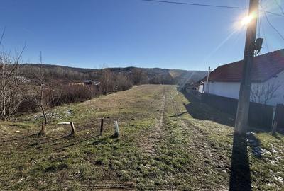 Teren de 6200 mp, în Exterior Vest - 4