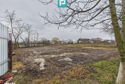 Casă cu 3 camere în Sintea Mică - 9